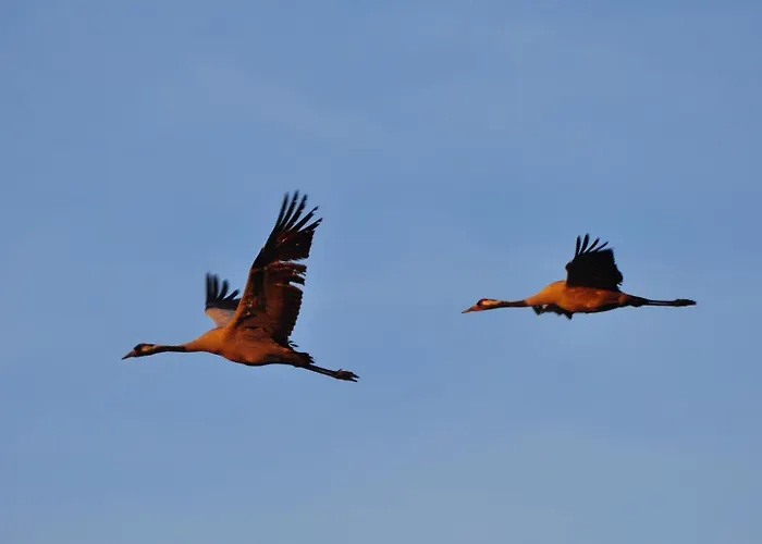 Holiday home 6 Swobodna